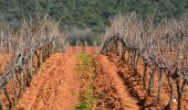 Percorso Marcia La Crau - Fenouillet - Chateau de Hyères - retour par les vignes - Photo 3