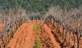 Trail Walking La Crau - Fenouillet - Chateau de Hyères - retour par les vignes - Photo 3