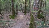 Tour Wandern Sasnières - Sasnières - Forêt de Prunay - Photo 4
