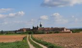 Percorso Marcia Reiningue - abbaye de l'Oelenberg   Reiningue - Photo 1