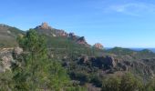 Trail On foot Saint-Raphaël - Rastel d'Agay par le Sommet Mourrefrey Estérel  3544 ET - Photo 5