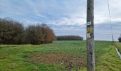 Randonnée Marche Villedômer - Villedomer - Étang de l'Arche - Photo 11