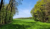 Tour Wandern Feitweiler - rando honville 18-05-2023 - Photo 13