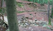 Trail Walking Spa - Spa berisienne  - Photo 1