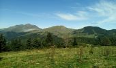 Randonnée Marche Prades - Autour du Chioula - Photo 2