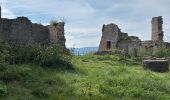 Tocht  Neubois - Neubois château du falkenbourg  - Photo 1