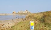 Tour Wandern Penvénan - Port blanc - Pointe du Château  - Photo 12