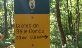 Tour Wandern Saint-Nazaire-en-Royans - 26 rochechinard - Photo 2