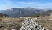 Trail Walking Courmes - Courmes  - Photo 17