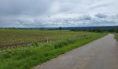 Tocht Stappen Houffalize - Engreux 080625 - Photo 6