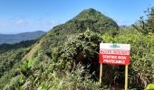 Tour Wandern Le Lorrain - Boucle Morne Jacob - Photo 19