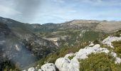 Trail Walking Trigance - Trigance : Rancoumas-Carajuan - Photo 1