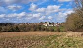 Trail Walking Beautheil-Saints - Vallée de l'Aubetin - Photo 4