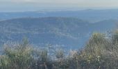 Trail Walking Gourdon - Parapente Gourdon  - Photo 3