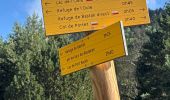 Trail Walking Aragnouet - J7-Oule-Bastan - Photo 1