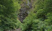 Tocht Stappen Chambon-sur-Lac - vallée de chaudefour et les cascades  - Photo 3