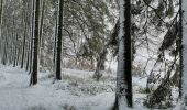 Tour Zu Fuß Monschau - Route 1 - Photo 4