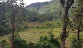 Tour Wandern Bandarawela - Sri-10 Bandarawela  - Iddalgasinne - Bambarakanda - Lyangahawela - Photo 3