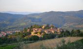 Trail On foot Greve in Chianti - IT-G8 - Photo 4