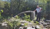 Tocht Stappen Barjac - 2020 06 17 dolmen de Barjac  - Photo 8