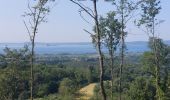 Tocht Stappen Acquapendente - CR_Francigena_DK_47_Acquapendente_Bolsena_20230530 - Photo 9