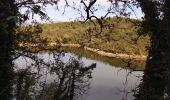 Trail Walking Montauroux - St cassien / friaoud - Photo 6