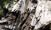 Excursión Senderismo Collobrières - Cuves de Boulin - Photo 4