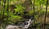 Tour Zu Fuß Wirsberg - FrankenwaldSteigla Franzosenweg - Photo 5