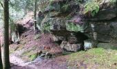 Tour Wandern Saint-Étienne-lès-Remiremont - Le sentier des Pourdingues - Photo 1