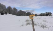 Randonnée Marche Sarrancolin - cabane Artigueluz - Photo 1