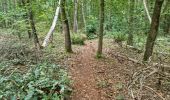 Trail Walking Vendôme - Vendôme Bois de l'Oratoire Circuit 1 - Photo 15