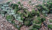 Tour Zu Fuß Freudenberg - Liebliches Taubertal 1 - Photo 3