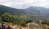 Tour Wandern Banyuls-sur-Mer - PuigSallfort_T - Photo 1