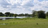 Tour Wandern Eijsden-Margraten - 20240523 - Balade ornithologique Oost Maarland - 2.2 Km - Photo 14