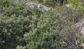 Randonnée Marche Évenos - Cap Gros en partant du col du corps de Garde - Photo 9