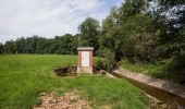 Percorso A piedi Euskirchen - EifelSchleife Hahnenberg - Photo 3