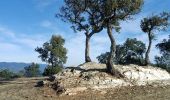 Excursión Ruta Bormes-les-Mimosas - Pointe du Diable et de Estagnol  - Photo 6