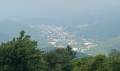 Tocht Stappen Sewen - Circuit lac d'alfeld / ballon d'Alsace  - Photo 11