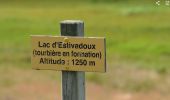 Excursión Senderismo Besse-et-Saint-Anastaise - lac Estivadoux-Pavin - Photo 2