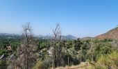 Randonnée Marche Vitacura - Sendero abajo del Cerro Carbón - Photo 2