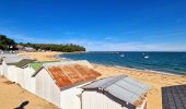 Tocht Te voet Noirmoutier-en-l'Île - Jeun et rando J3 Centre ville plage des dames - Photo 8