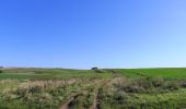 Randonnée A pied Unknown - Avebury Archaeology Walk - Photo 3