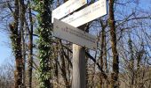 Trail Walking Les Planches-en-Montagne - gorges de Langouette - Photo 1