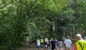 Tour Wandern Sprimont - Banneurs - Photo 1