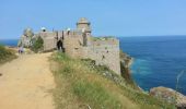 Tocht Stappen Plévenon - Fort La Latte - 2017 06 22 - Photo 3