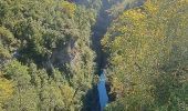 Randonnée Marche Fanlo - Pyrénées 2023 Jour 9 - Canyon d'Anisclo - Photo 20