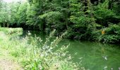 Trail On foot Crépy-en-Valois - le GR11 dans la Forêt de Retz et sur les bords du canal de l'Ourcq - Photo 5