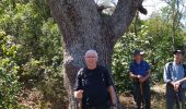 Tour Wandern Le Revest-les-Eaux - le Revest: le barrage, le mont Combes, Tourris et les Olivières - Photo 1