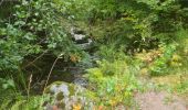 Excursión Marcha nórdica Saint-Pierre-de-Nogaret - SityTrail - Le Brouillet - Cascade du Saltou - Photo 4