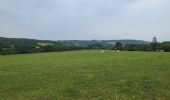 Tour Wandern Marche-en-Famenne - marche en famenne 280623 - Photo 7